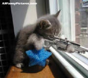 sniper.jpg