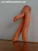carrot.jpg